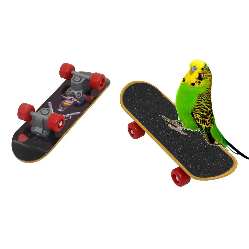 Parrot Mini Skateboard Toy Intelligence Training Skateboard Parakeet Puzzle Exercise Toy Fun Canary Budgie Skateboard Bird Toy