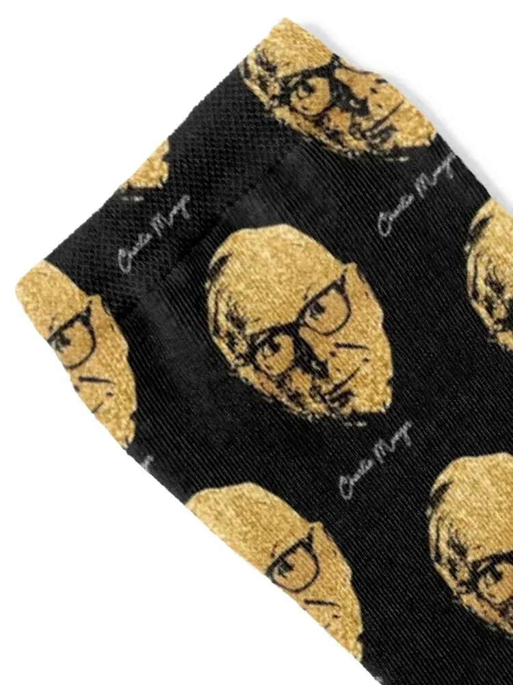 Charlie Munger portrait Socks loose Run ankle Luxury Woman Socks Men's