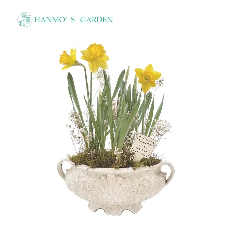 Garden, cast iron binaural shell basin