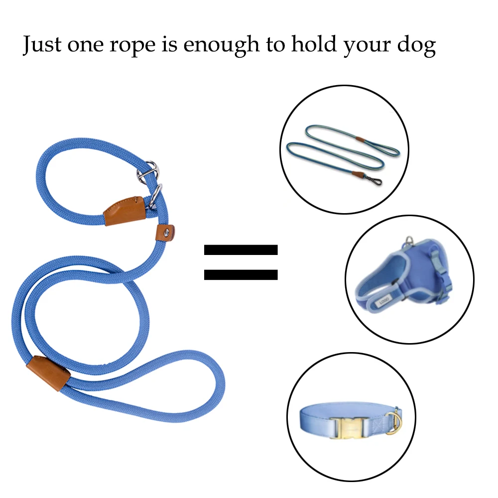 Convenient Durable Nylon Slip Rope Best Dog Leash Collar Adjustable Slide Fastener Loop Medium to Large Scale Leash for Dog Pet