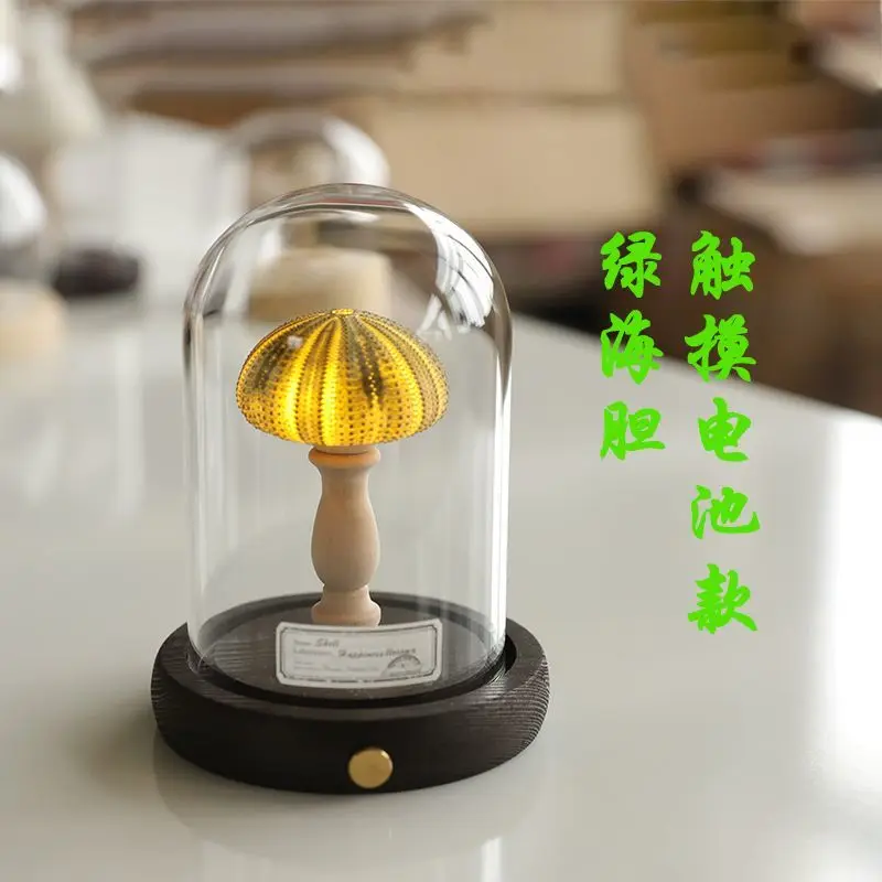 Fun Creative Retro Seashell Urchin Conch Night Light, DIY Atmosphere Bedroom Decor for Girls, Healing Sleep Lamp Gift