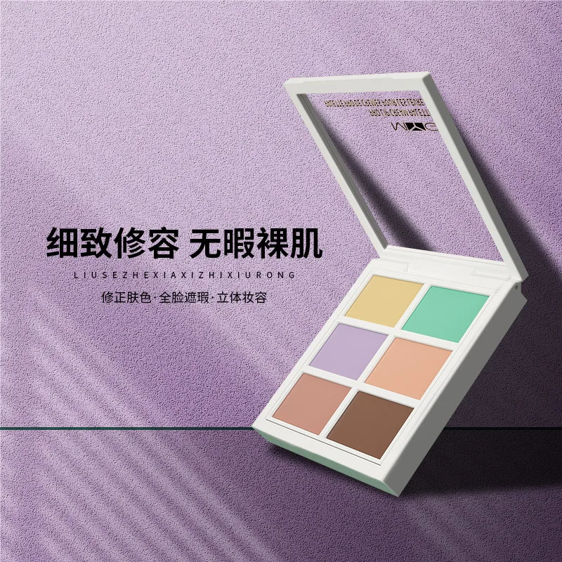 6 ColorConcealer Palette  Bronzer Contouring Makeup Long Lasting 3d Face Concealer Cream