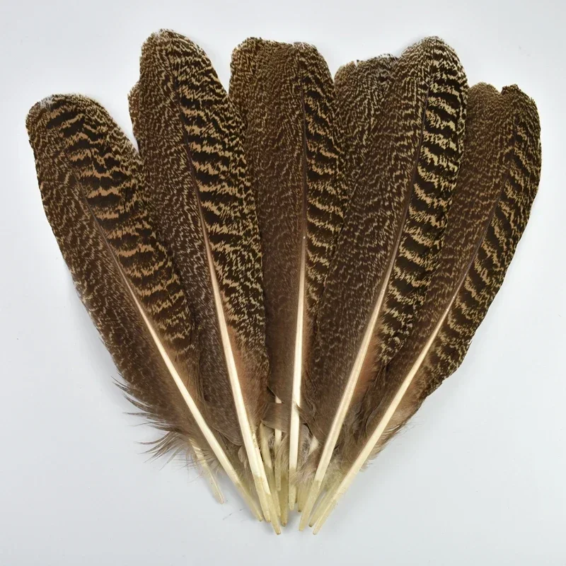 10Pcs Natural Peacock Bird Feathers Decoration Eagle Small Pheasant Feather Crafts Decor Hats Carnival Wedding Jewelry Creation – Detail 8