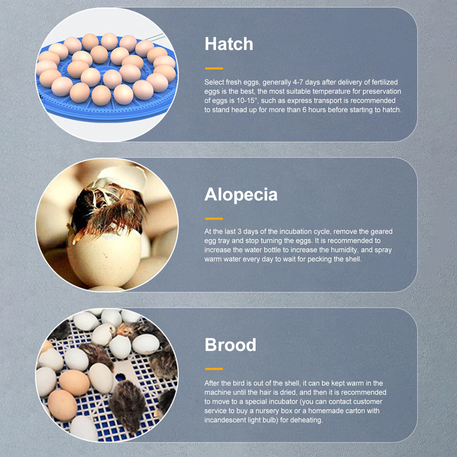 Eggs Incubator, Multi-purpose Dual Power Supplies,With Automatic Water Ionic Waterbed Replenishment And Temperature Contro