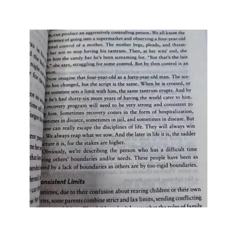 1 冊 バウンダリーズ by ヘンリー・クラウド博士 & ジョン・タウンゼント博士 クリスチャン・デート＆リレーションシップ 英語書籍 ペーパーバック
