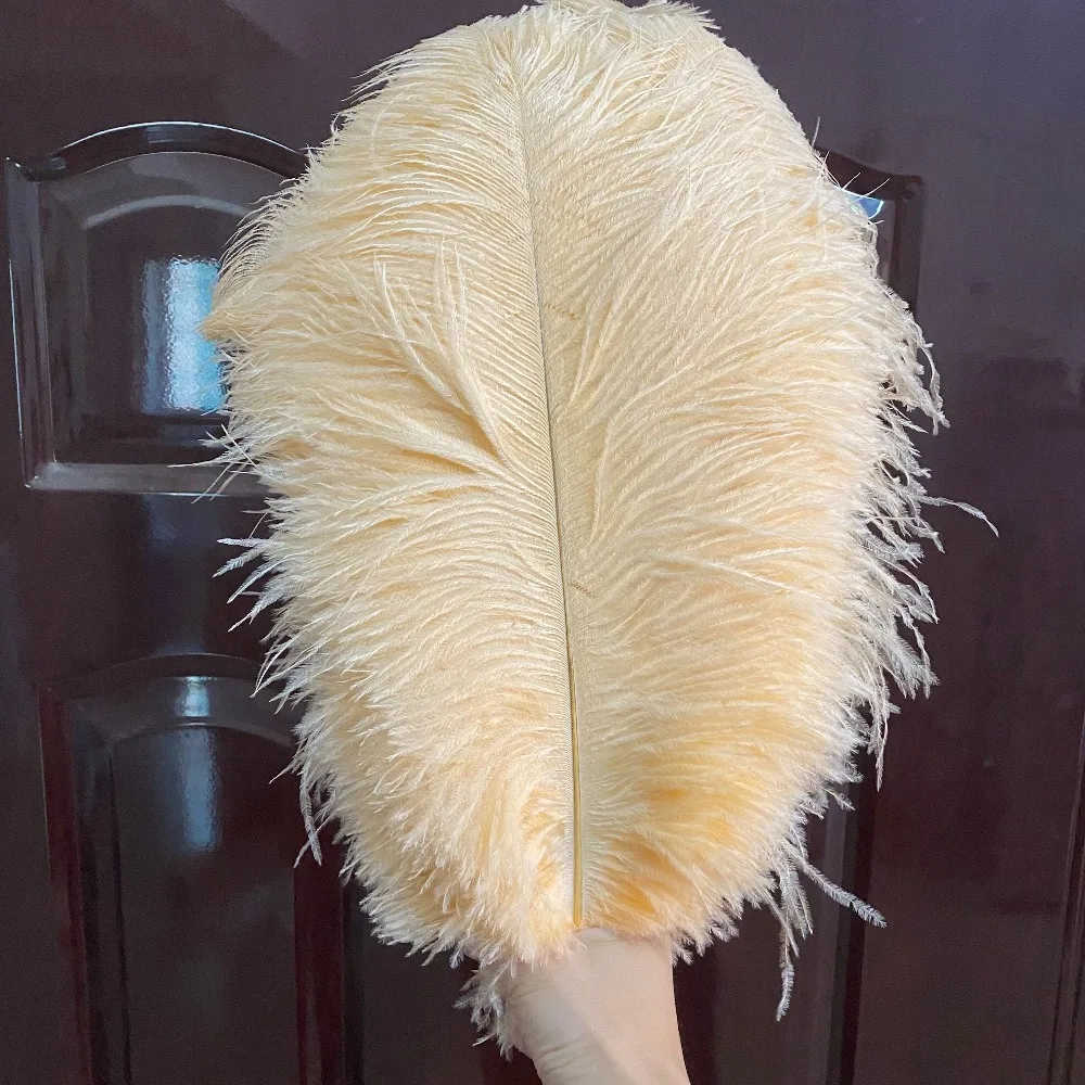 Customized 10PCS Champagne Colored Ostrich Feather Clothing Accessories Live Broadcast Feather Jewelry Ornaments Stage Props