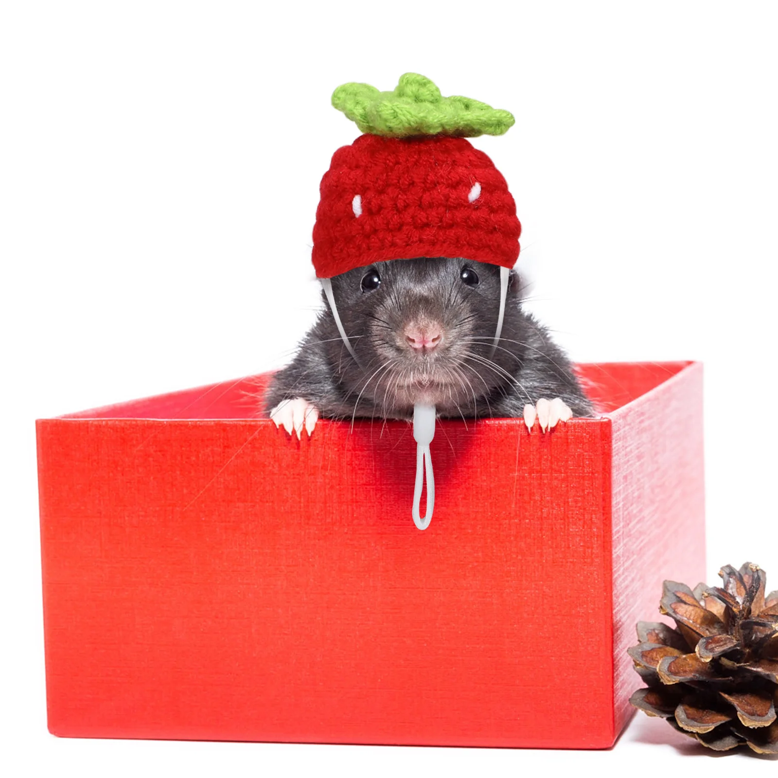 

4Pcs Mini Knitted Small Animal Hats Cute Carrot Strawberry Flower Rainbow Pet Hat Photo Props Party Birthday Festival