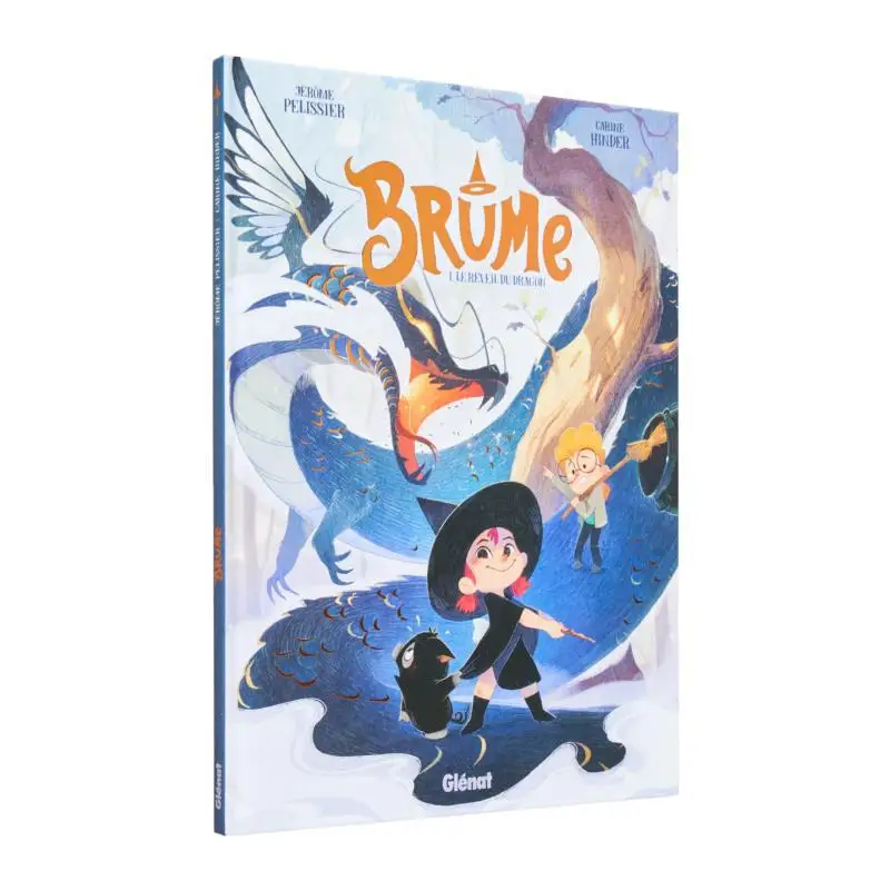 

Mist The Awakening Of The Dragon Tome 01 Jerome Pelissier Carine Hinder Glenat France 9782344051733 Book