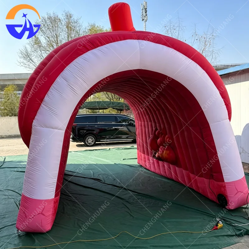 Red Vascular Crack Texture Human Anatomy Heart Inflatable Tunnel Tent for Campus Popular Science Exhibition