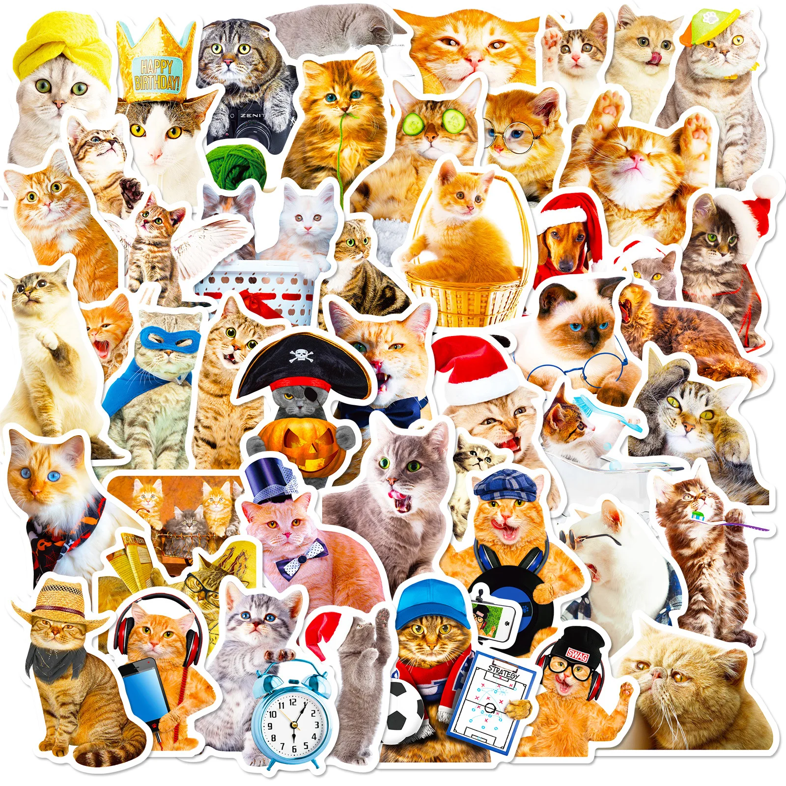 

50Pcs Realistic Cat Series Graffiti Stickers Suitable for Laptop Helmets Desktop Decoration DIY Stickers Toys