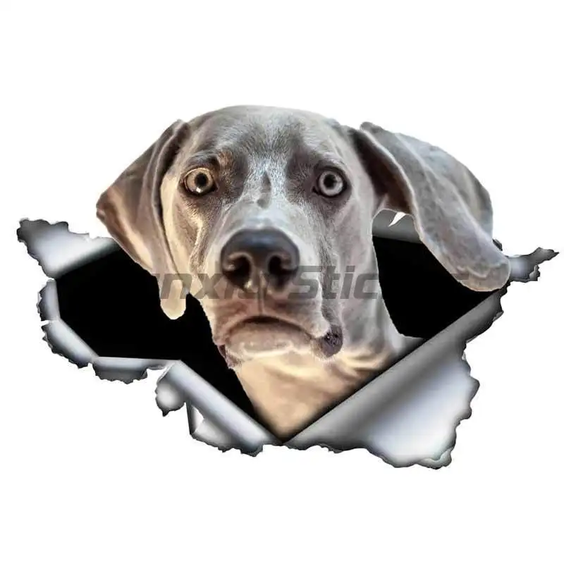 3D Dog Personality PVC Decal Weimaraner Vinyl Waterproof Car Sticker on Motorcycle Laptop Decorative Accessories