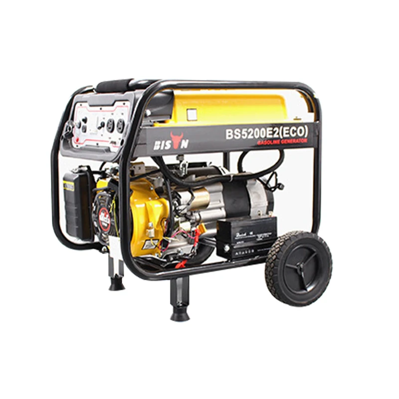 

Single-phase air-cooled portable gasoline generator