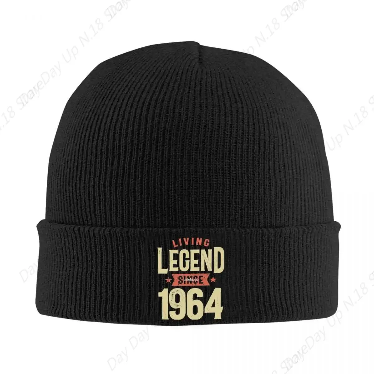 Living Legend 1964 Beanie Hats Knit Hat Outdoor Sport Warm Men Women Caps Autumn Winter Graphic Retro Bonnet Hats Gift