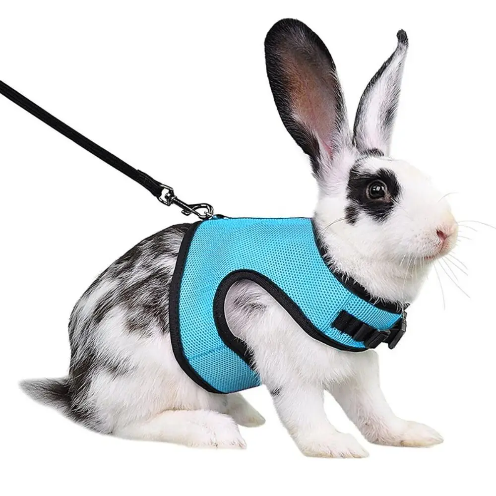 Mutil-Colors Rabbit Harness and Leash Set Breathable Adjustable Pet Harness Soft Portable Pet Chest Strap Outdoor Walking