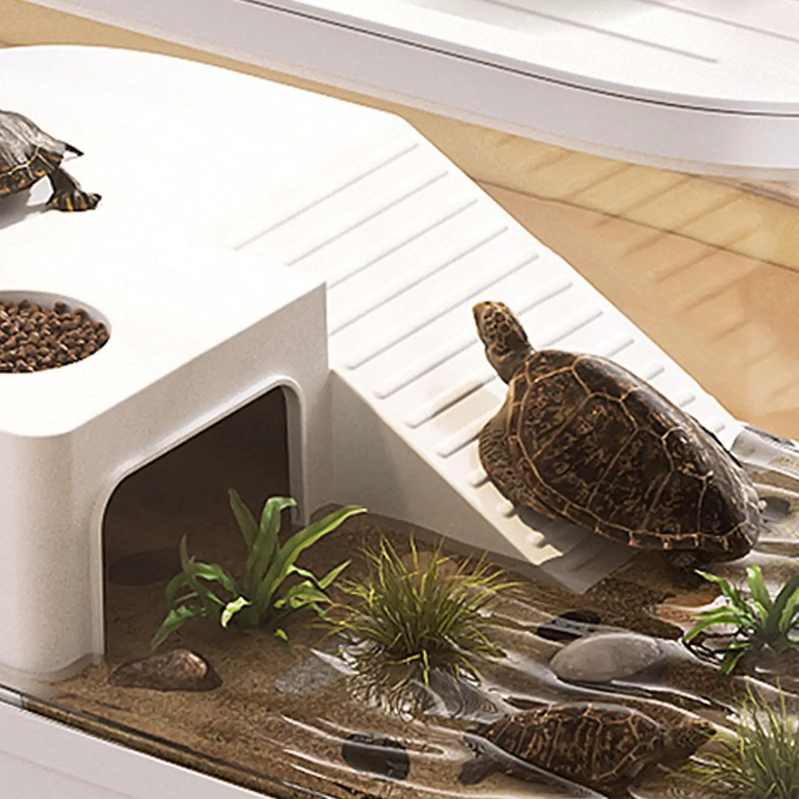 

Bearded Dragon Enclosure Enclosure Container For Reptile Tarantula Habitat Container For Bearded Dragon Gecko Snack Spider