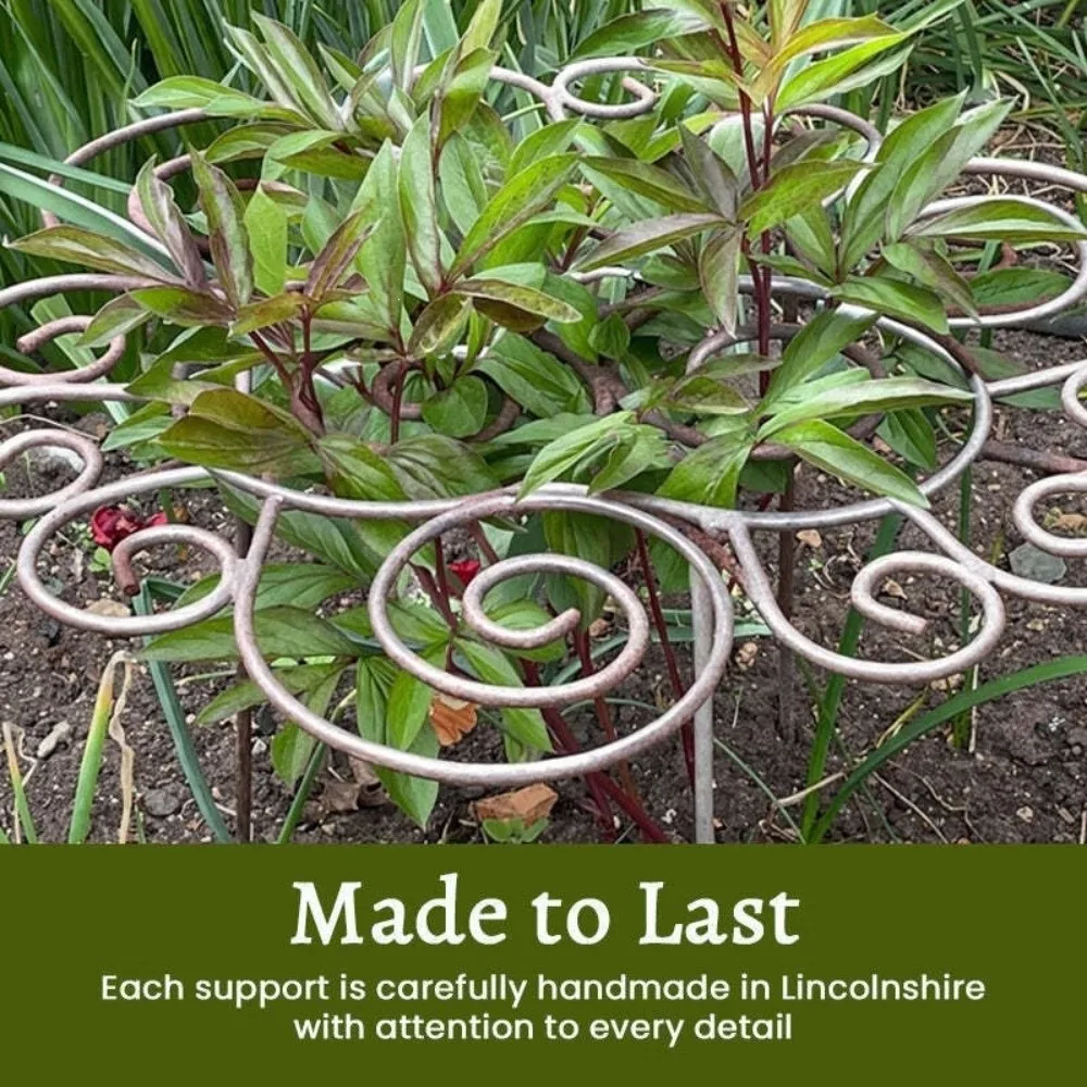 Flower Shaped Metal Plant Support Ring Rust-Proof Anti Lodging Grow Through Ring Bracket Iron Art Weather-Resistant