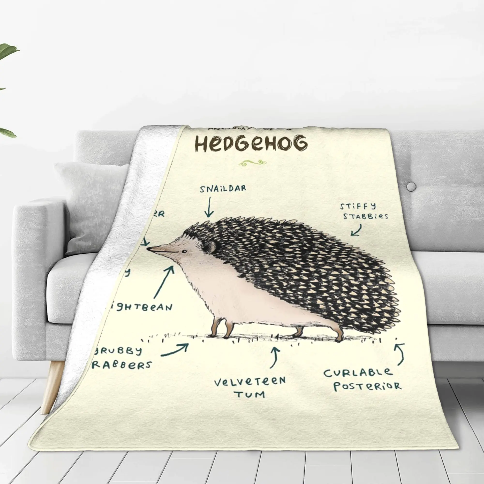 Anatomy of a Hedgehog Blanket Super Soft Fleece Sofa Throw Blanket for Couch Bedding Outdoor Throws Bedspread Quilt