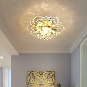 Kreativer Kristallblume Kronleuchter, höhle hellgetriebene, Anhängerlampe, Küchendekoration, Schlafzimmer, Korridor, Wohnzimmer 10 Hauptverkaufsfabrik von Kristallleuchter - №8