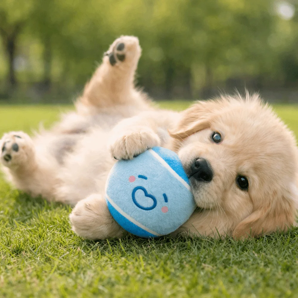 

3 pieces Elastic Pet Tennis Ball Eco Friendly Color Blocked Dog Chew Toy Squeaky Sound Cartoon Pattern Dog Training Toy Ball