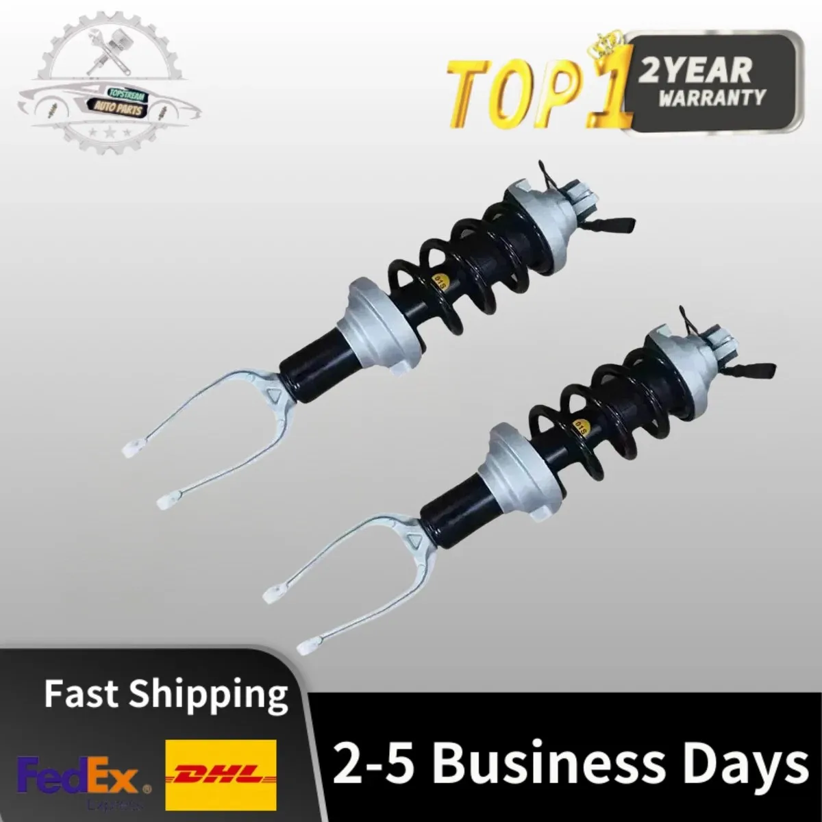 

Pair Front Shock Strut Assys Magnetic Ride For Audi R8 Spyder 4S3 4S9 4S0512019 4T0512019 4T0512019L 4T0512019Q 4T0512019S 4T051