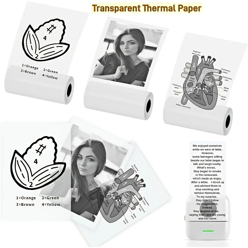 3 Rolls 57mm Transparent Thermal Label Paper Clear Self Adhesive Compatible for Portable Printer Bottle Photo Note Organization