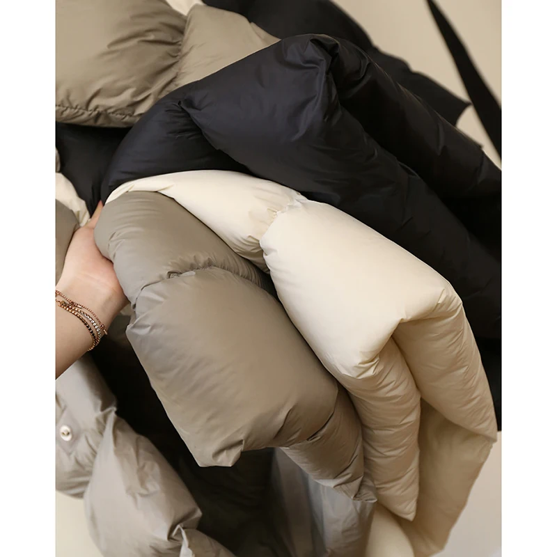 Veste Longue en Duvet de Canard Blanc pour Femme, 90% Duvet de Canard, Vêtement d'Extérieur Chaud, Simple et Solide, Manteau Décontracté, Nouvelle Collection Automne Hiver 2023