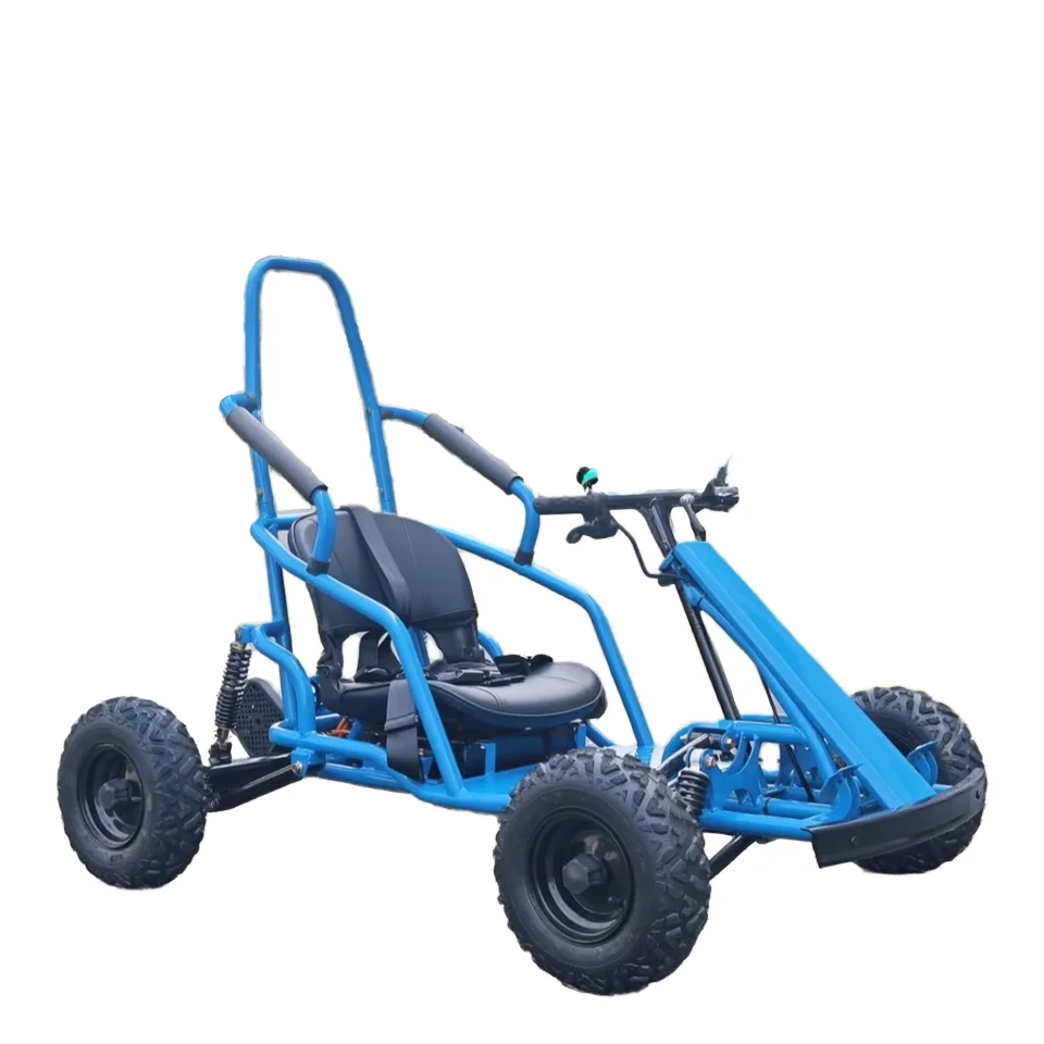 

Single Seat Electric Go Kart for Entertainment 48v 2000W Race Drift Buggy with Lithium Battery Rear Disc Brake