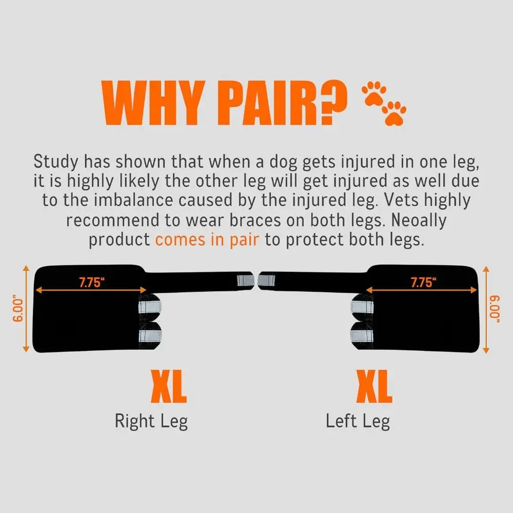 1PC Portable Metal Strips Dog Front Leg Brace Reflective Strips Non-Slip Knee Brace Breathable Adjustable Straps Joint Support