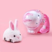 3D Cartoon Children RC Car Mini Watch Toys Cute Pet Car USB Charging Rabbit Racing Toys Plush Kapibala Watch Electric Toy