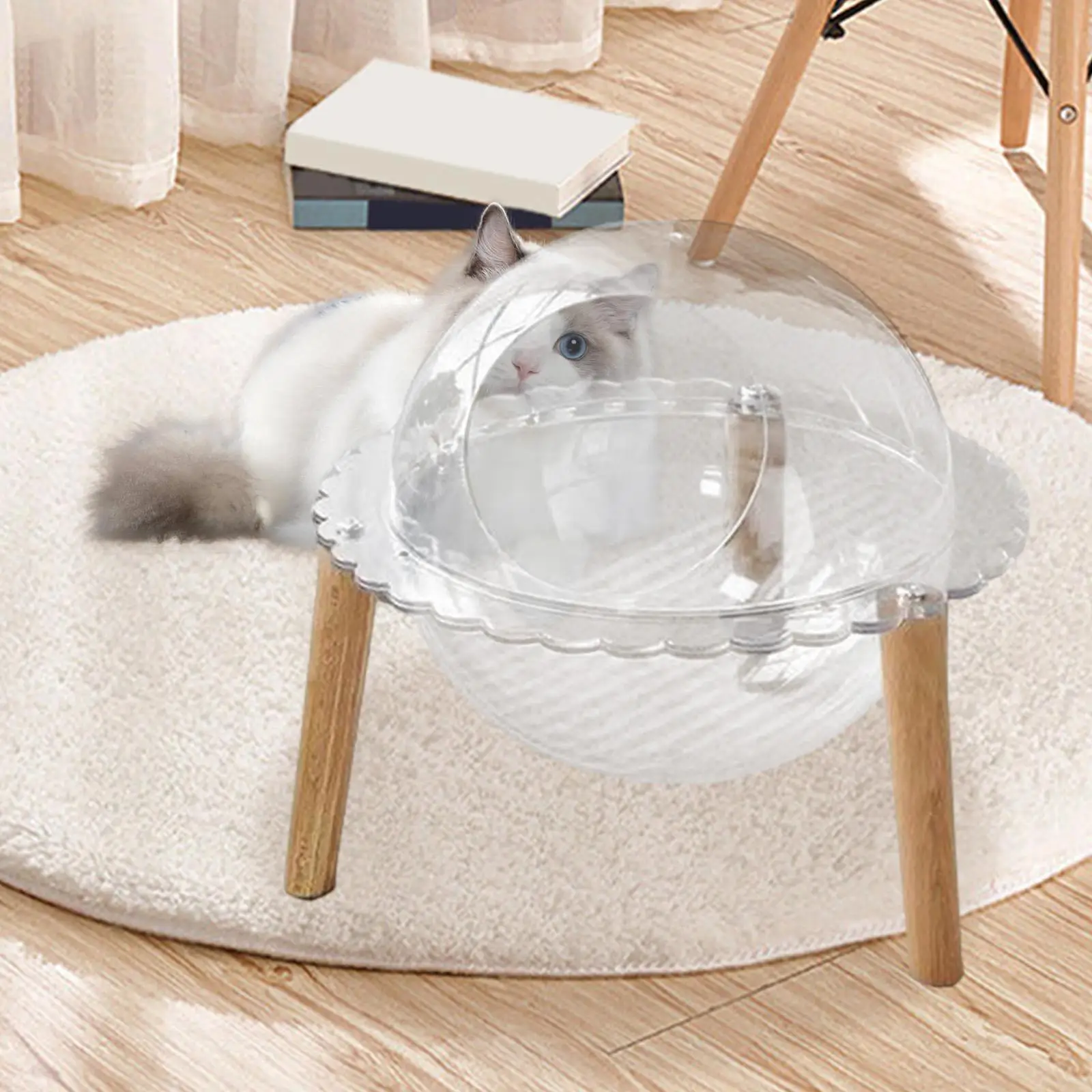 Space Capsule Cat House Clear Scratcher Toy Kitty Bed Four Seasons Universal