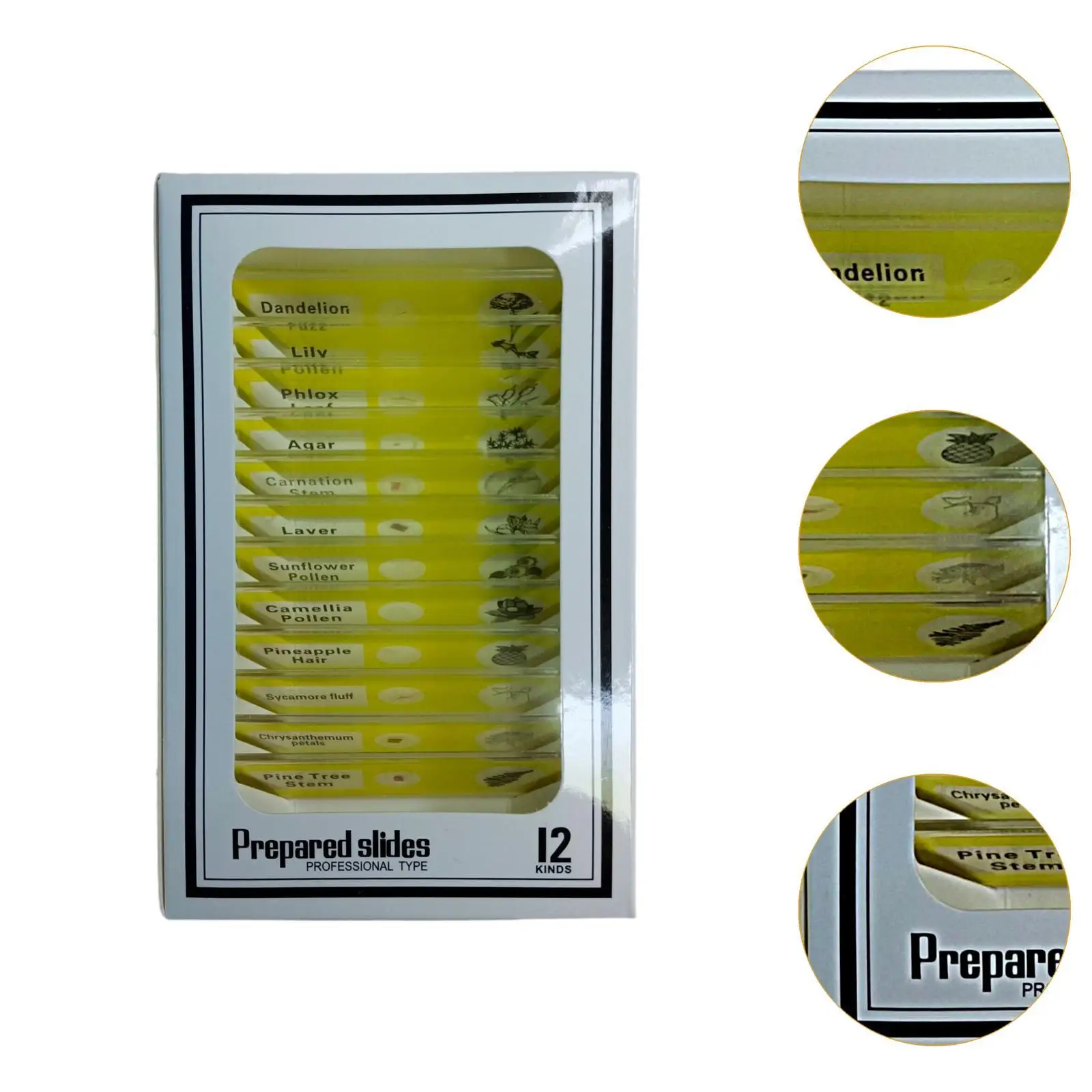 Kits científicos para crianças, lâminas de microbiologia preparadas, desenvolvimento de habilidades cognitivas, sala de aula, casa, aprendizagem precoce