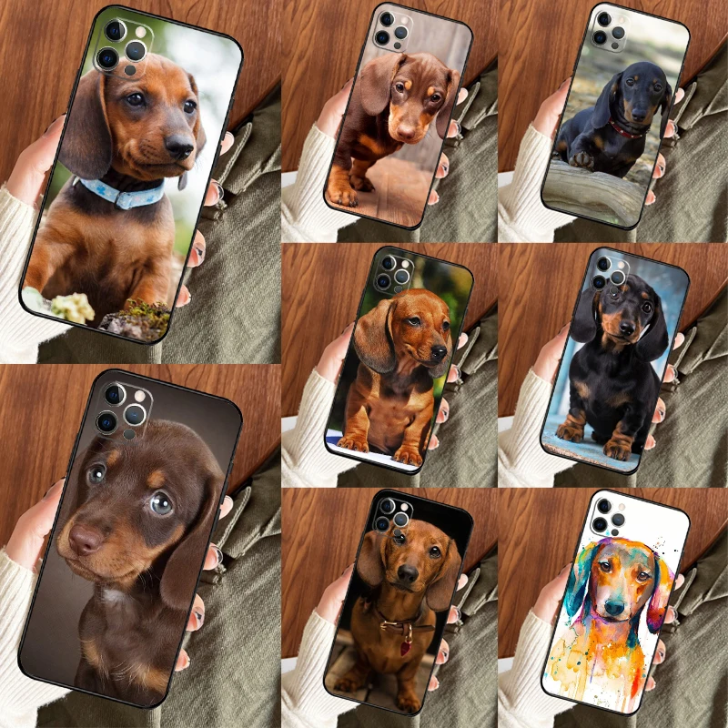 Dachshund For Huawe… - image