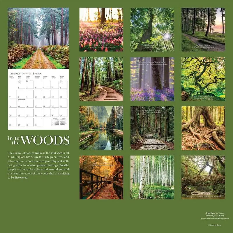 Sturdy Calendar In to the Woods Wall Calendar Monthly Calendar Home Sturdy Year Wall Appointment Room Hanging 2024 Holiday