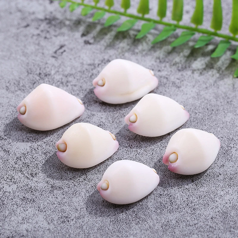 

Natural Jade Rabbit Snail Conch Shell, Italian Shell Collection Specimen, Cute Beige and Pink, 2 PCs/Lot, 2.5-3 cm