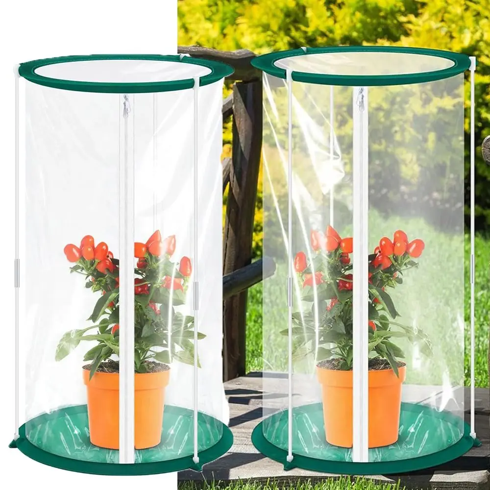 

for Plant Flower Insect Cage PVC Clear Windproof Mini Greenhouse Easy to Use Protect Plant Observation Habitat Women Girls