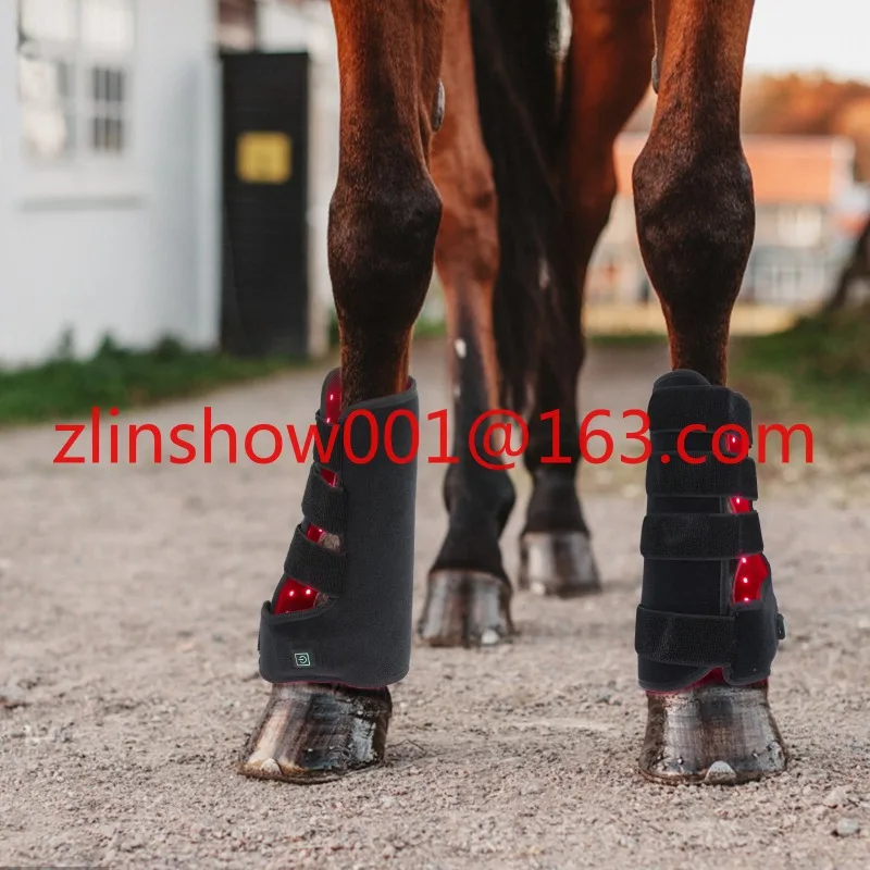 Sunglor OEM ODM Equine Hood Knees Legs Boots Blanket LED Infrared Red Light Therapy Horse