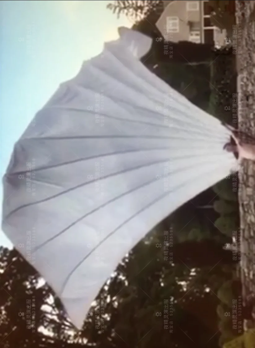 

big Dance Fan Costume large costume props backboard large nightclub party circus performance props wings