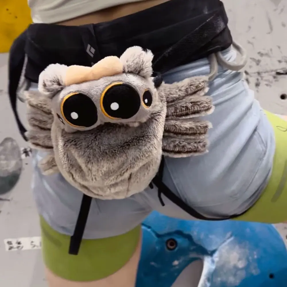 

Lucas Little Spider Climbing Chalk Bag Cute Gear For Rock Climbing Outdoors