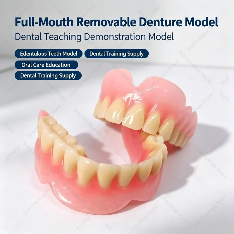 Full‑Mouth Removable Denture Model, Elderly Oral Care Teaching Demonstration Teeth Model