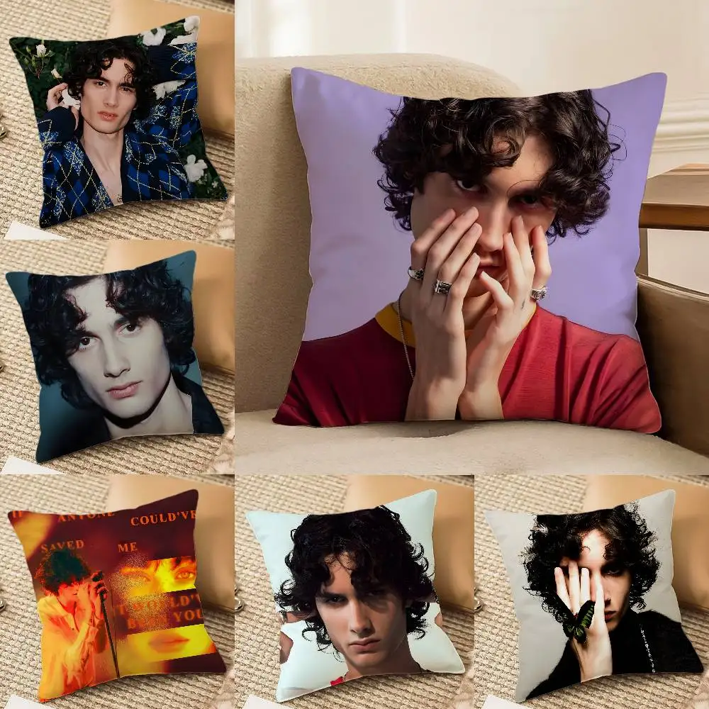 Sombr Pillow Case Anti-dustmite Invisible Zipper Sofa Bed