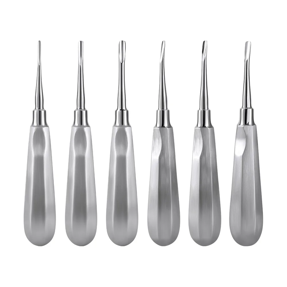 Aço inoxidável Dental Elevador para Odontologia, Chave de fenda cirúrgica, Elevador raiz reta e curvada, Lab Instrument Kit, 6 PCs/Set