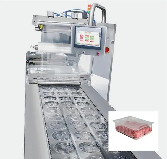 Macchina per sigillare l'azoto Termoforming Macchina per sottovuoto Sigillatrice Mesin Macchina per sigillare l'imballaggio