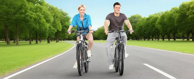 Electric Bicycles-T6
