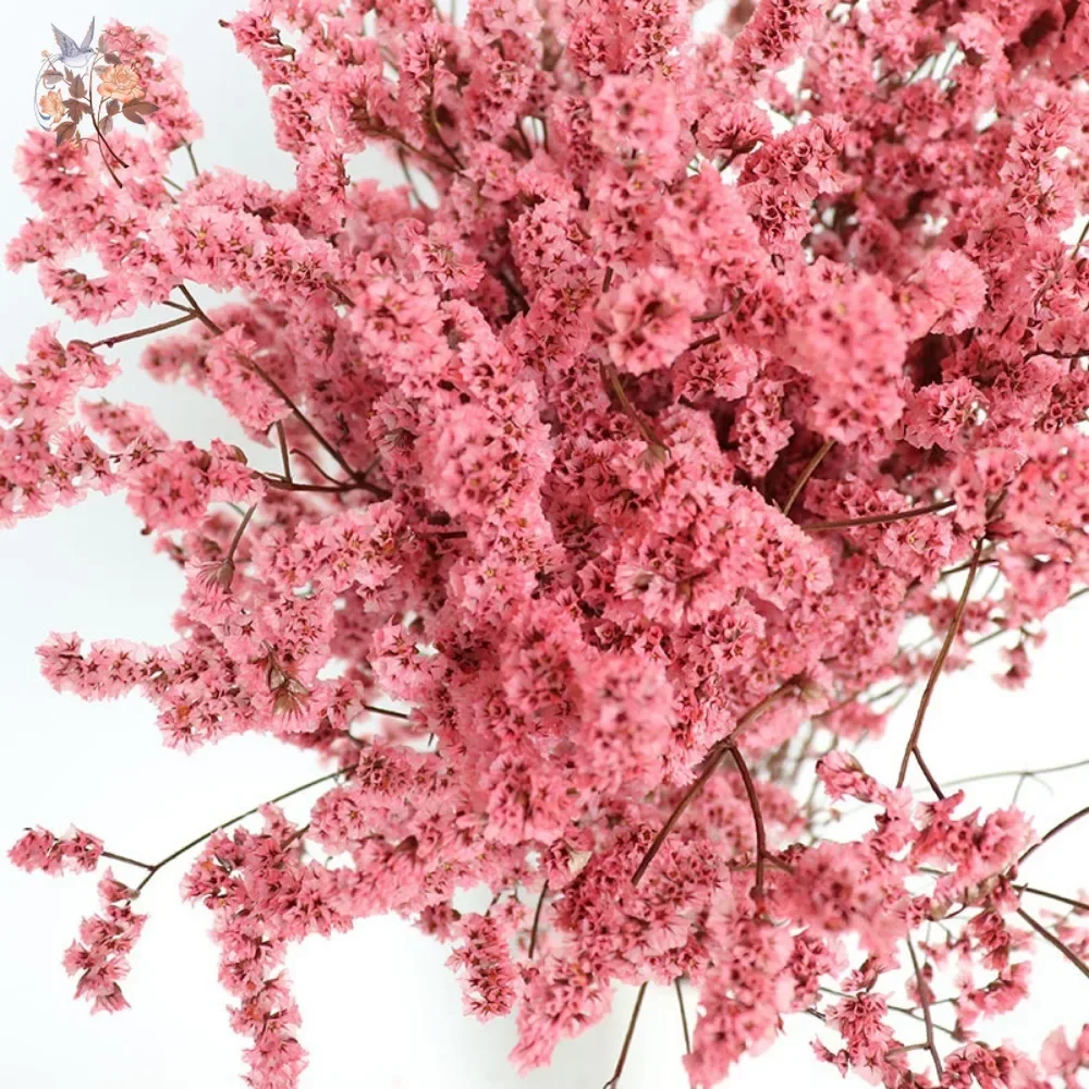 الطبيعية المحفوظة كريستال العشب الملونة المجففة زهرة باقة الزفاف ديكور الأبدية عاشق الزهور البوهيمي ديكور المنزل DIY بها بنفسك