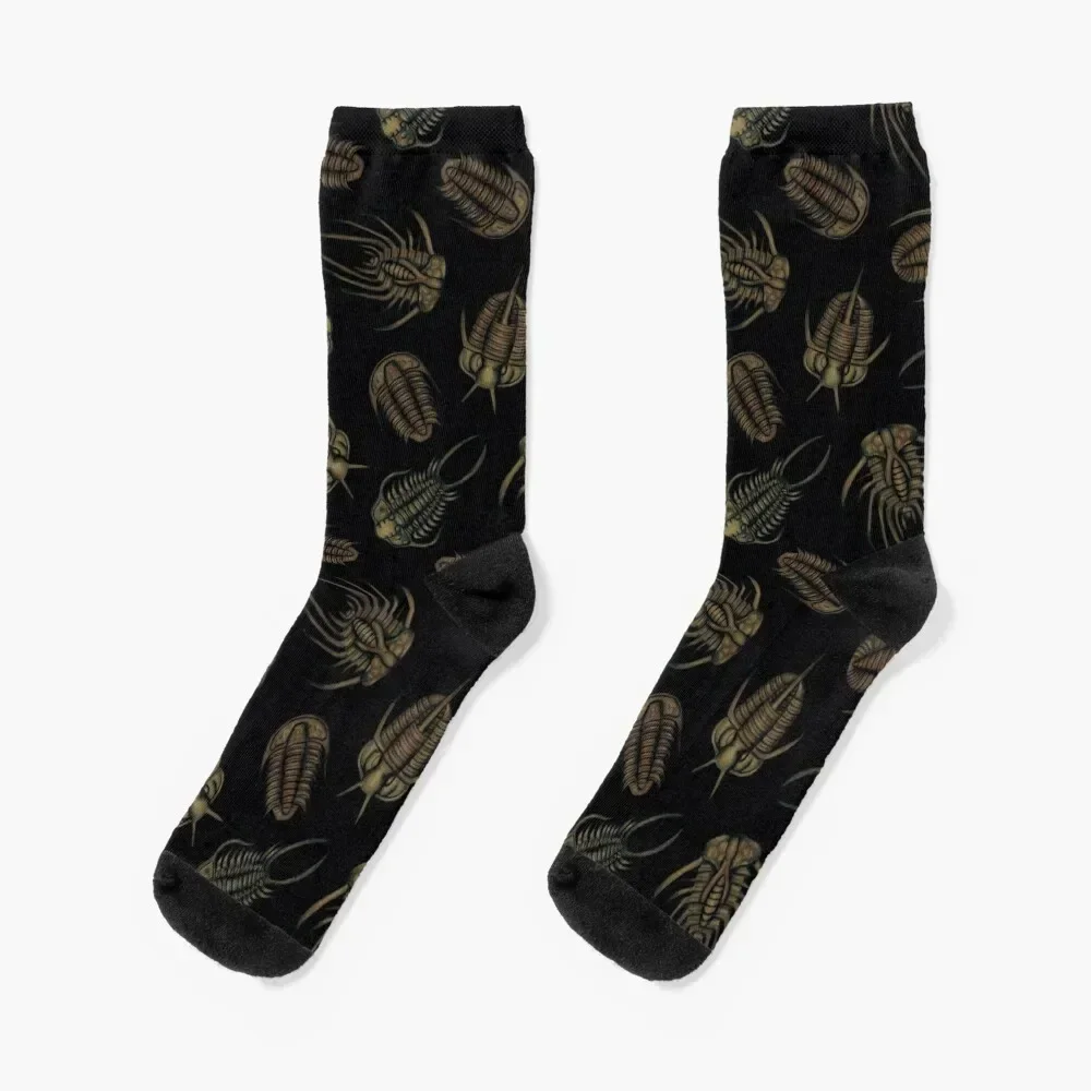 Trilobites - Marine Fossil Pattern Socks Run Antiskid soccer funny sock with print Socks Men's Women's