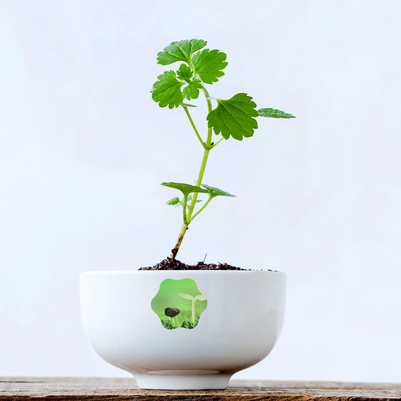 

10 Sheets Smart Hydroponic Machine Stickers PVC Seed Pot Labels Adhesive Plant Grow Labels for Indoor Garden Hydroponic Pot