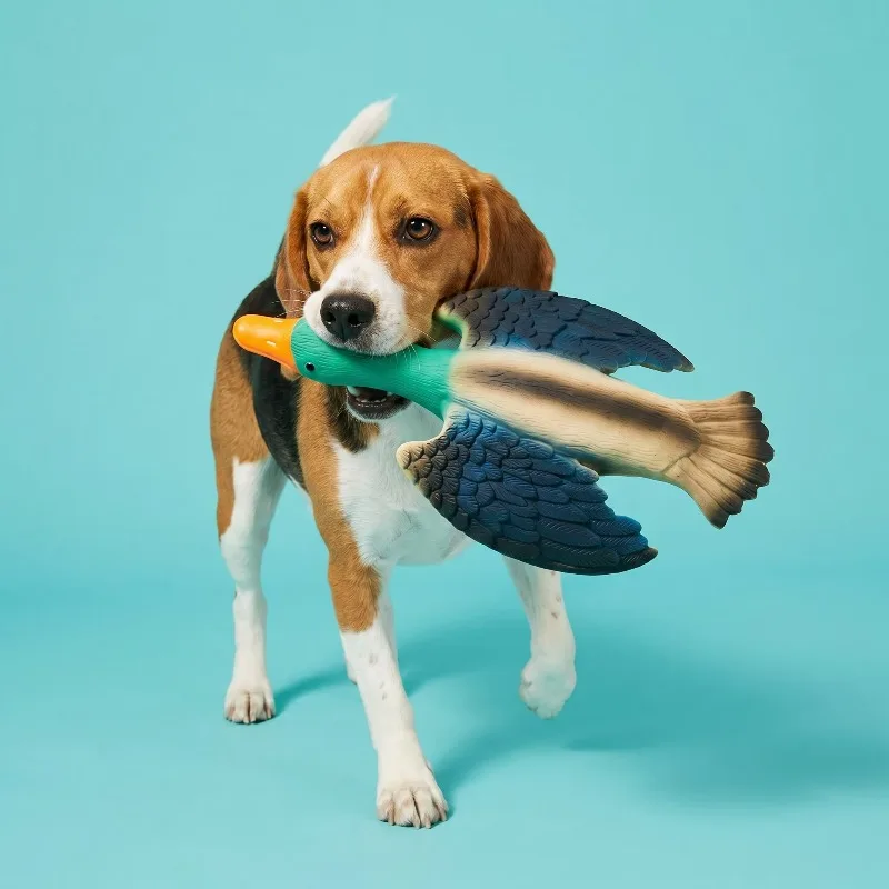 Multicolor Duck Latex Dog Toy with Squeaker, Chew Level 3