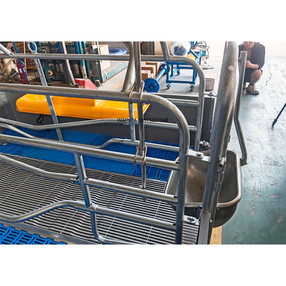 

2025 Hot Sale Pig Equipment Sow Pen with Heater Animal Cage Care