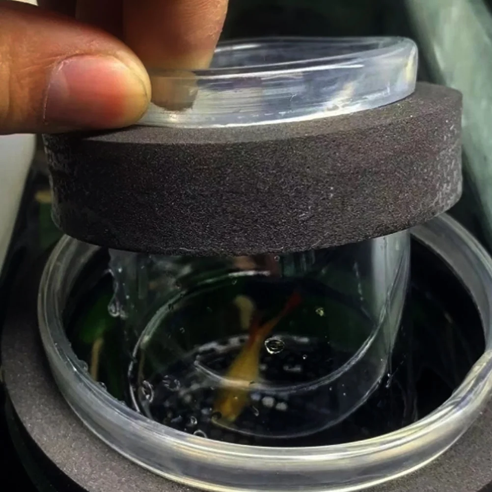 

Aquarium Breeding Box Transparent Cover Fish Isolation Box Hatchery Incubator Fish Tank Separator Safe Environment for Fry