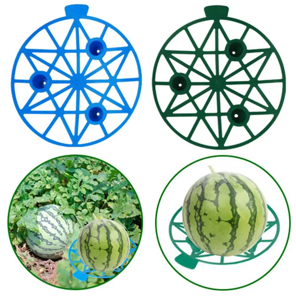 

Пластиковые Держатели Для дыни, прочные подставки для дыни, тыквы, многоразовые подставки для садовых растений, для арбуза, для здоровья